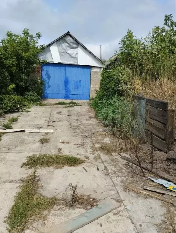 Дом в Белгородская область, Борисовский район, Хотмыжское с/пос, Отруб ... - Фото 1