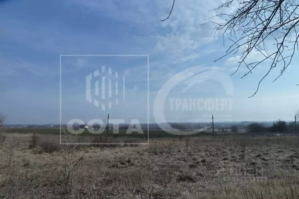 Участок в Воронежская область, Новоусманский район, с. Рогачевка  ... - Фото 0
