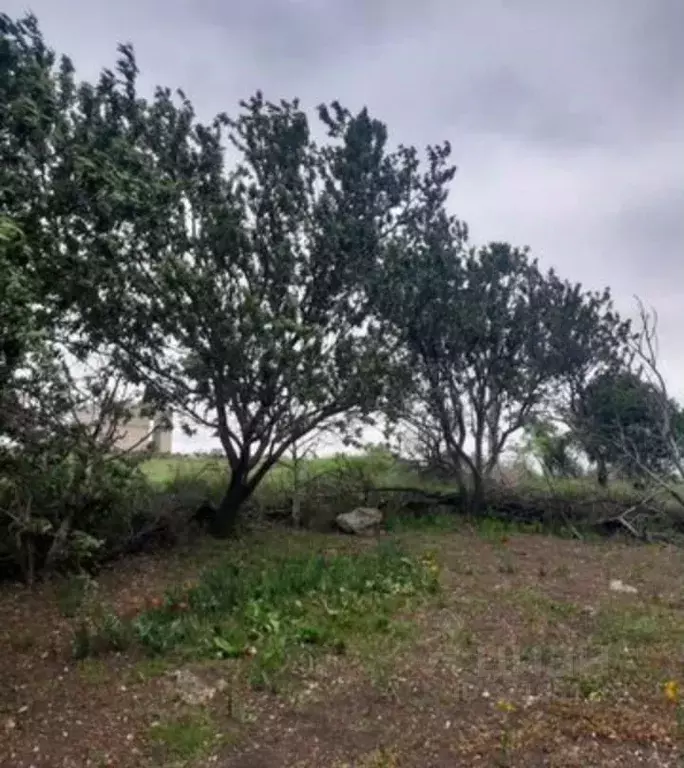 Участок в Крым, Керчь Изобильный СПК, ул. Гранатовая (8.5 сот.) - Фото 2