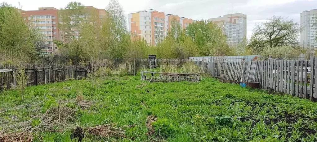 Участок в Кемеровская область, Кемерово Мичуринские Сады АО КОКС СНТ, ... - Фото 1