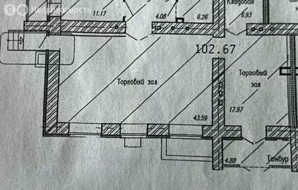 Торговая площадь (43.6 м) - Фото 2