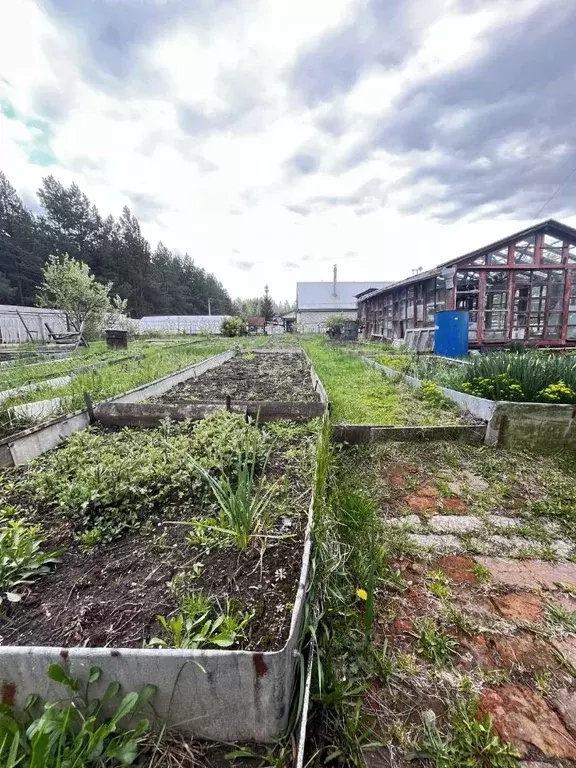 Дом в Нижегородская область, Дзержинск Мичуринец Сад № 6 садоводческое ... - Фото 0