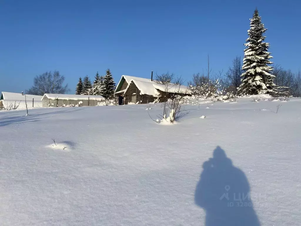 Участок в Вологодская область, Череповецкий район, д. Карельская Мушня ... - Фото 2