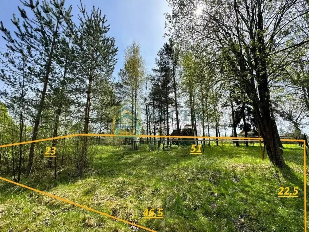 Участок в Ленинградская область, Тосненский район, Ульяновское ... - Фото 0