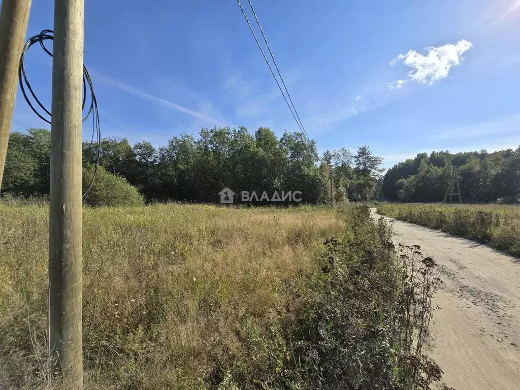 Участок в Карелия, Пряжинский район, Чалнинское с/пос, д. Виданы  ... - Фото 1