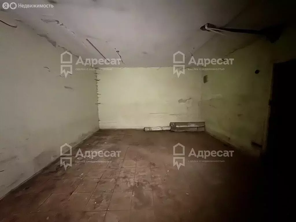 Помещение свободного назначения (218.1 м) - Фото 2