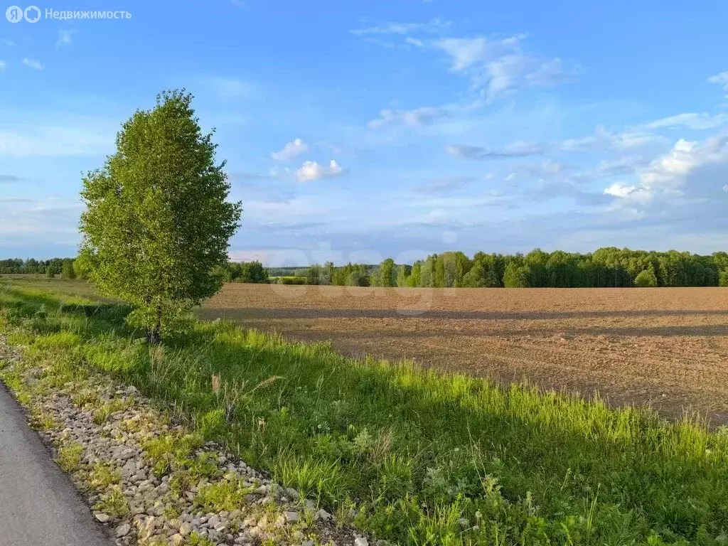Участок в Тульская область, городской округ Тула, деревня Уваровка ... - Фото 1