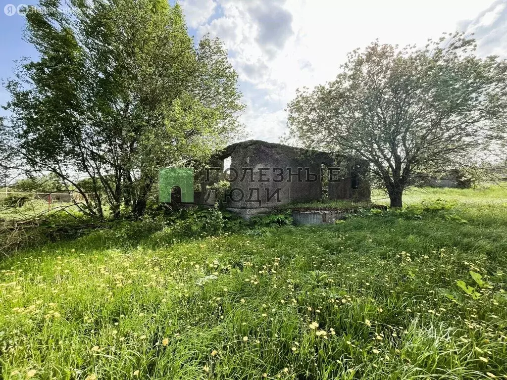 Участок в село Селихово, Новая улица, 22 (30 м) - Фото 1