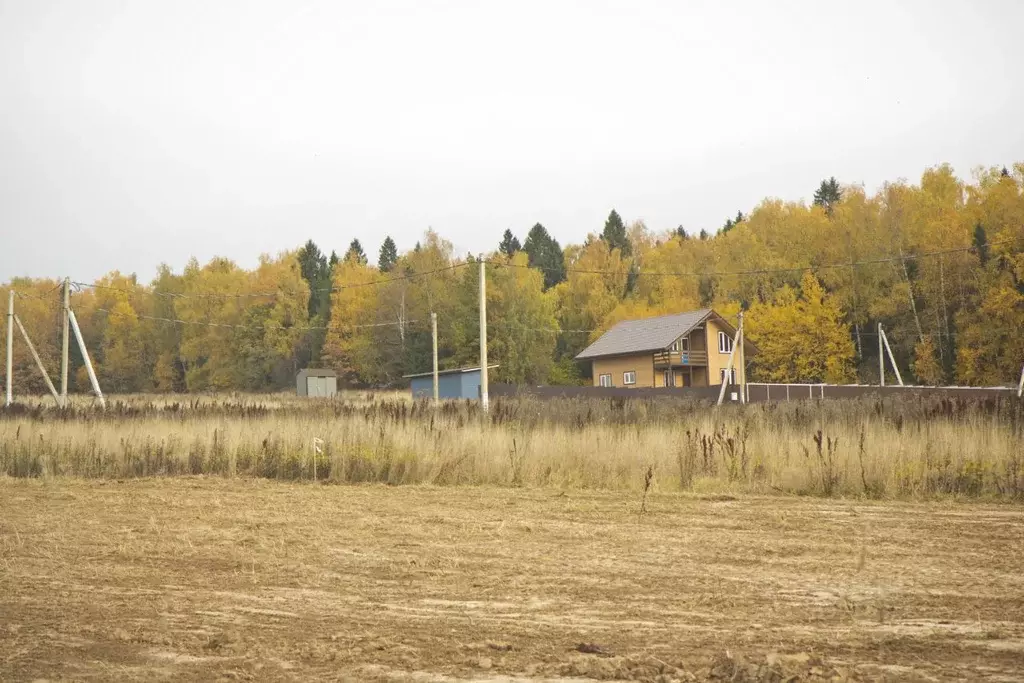 Участок в Московская область, Пушкинский городской округ, д. ... - Фото 0