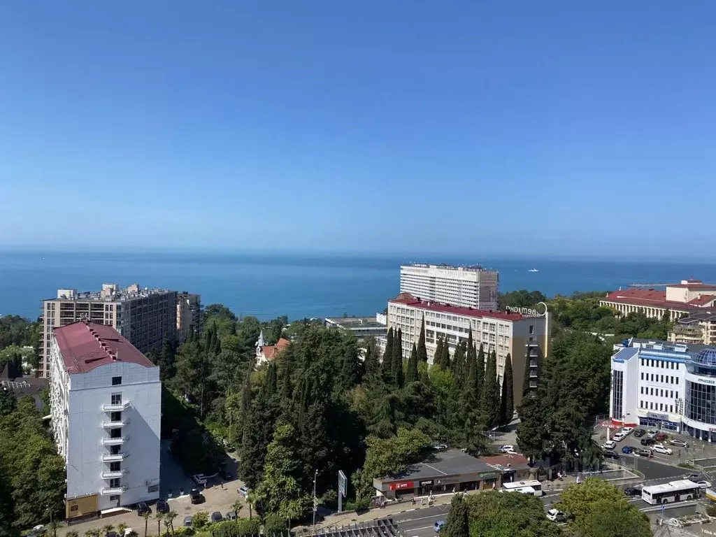 3-к кв. Краснодарский край, Сочи Светлана мкр, ул. Депутатская, 10 ... - Фото 2