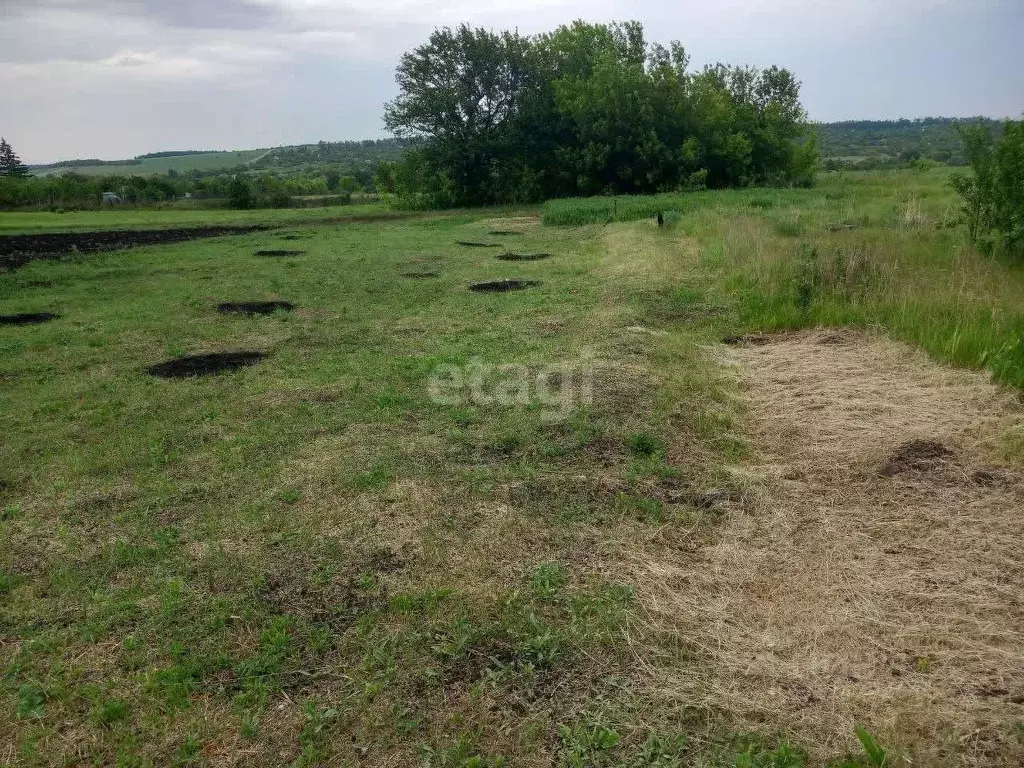 Участок в Белгородская область, Губкинский городской округ, с. ... - Фото 0