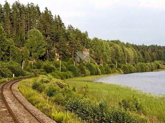 Участок в Карелия, Лахденпохский муниципальный округ, пос. Куликово  ... - Фото 1