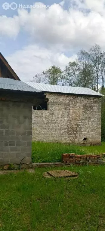 Участок в Псковская область, Печорский муниципальный округ, деревня ... - Фото 1