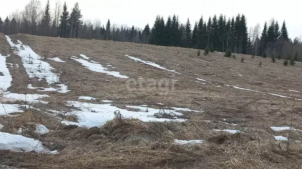 Участок в Коми, Сыктывдинский район, Зеленец муниципальное ... - Фото 0