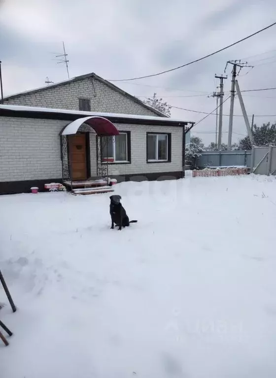 Дом в Амурская область, с. Ивановка ул. Строительная, 47 (105 м) - Фото 2