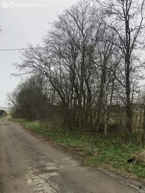 Участок в Волосовский район, Бегуницкое сельское поселение, деревня ... - Фото 0
