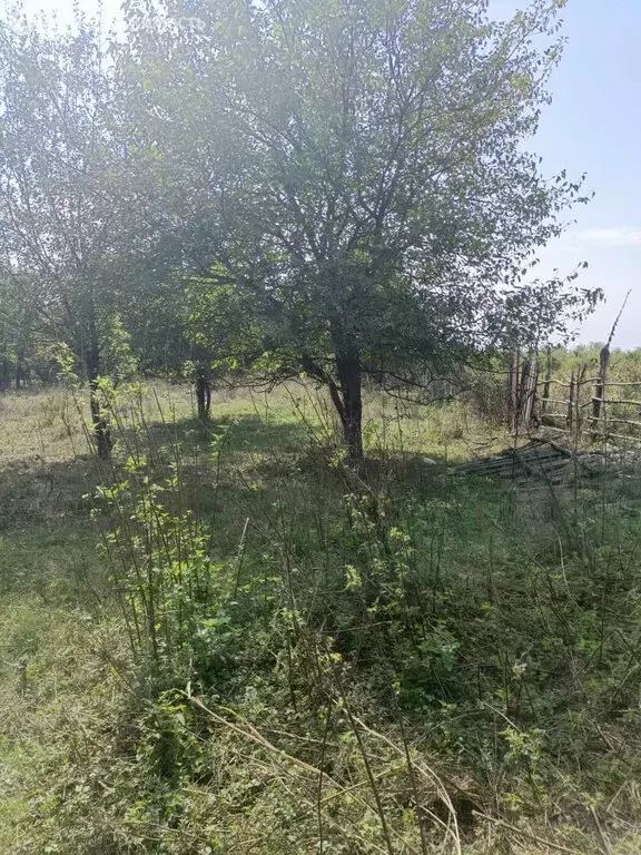 Участок в село Нарт, улица Ленина (16 м) - Фото 1