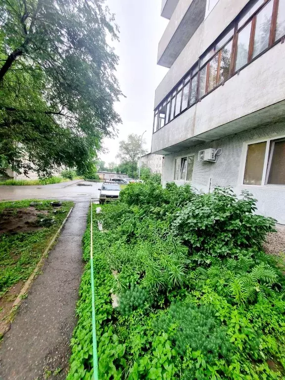 1-к кв. Хакасия, Абакан Торговая ул., 10 (28.0 м) - Фото 1