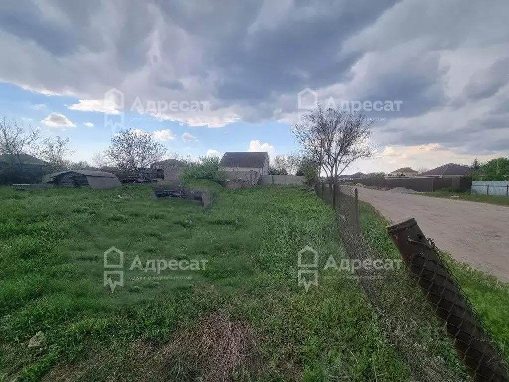 Участок в Волгоградская область, Городищенский район, Царицынское ... - Фото 2