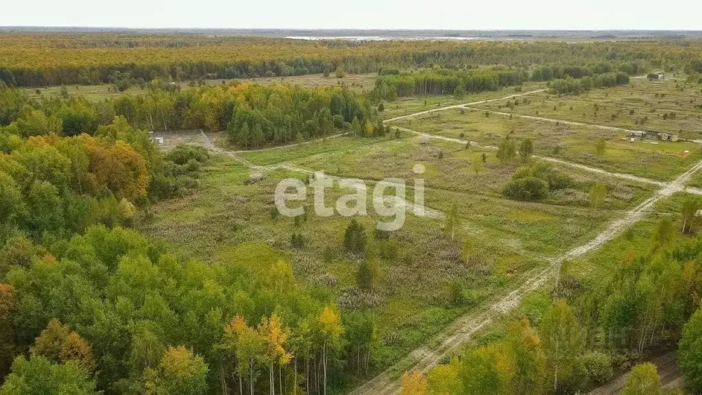Участок в Тюменская область, Тюмень  (10.56 сот.) - Фото 2