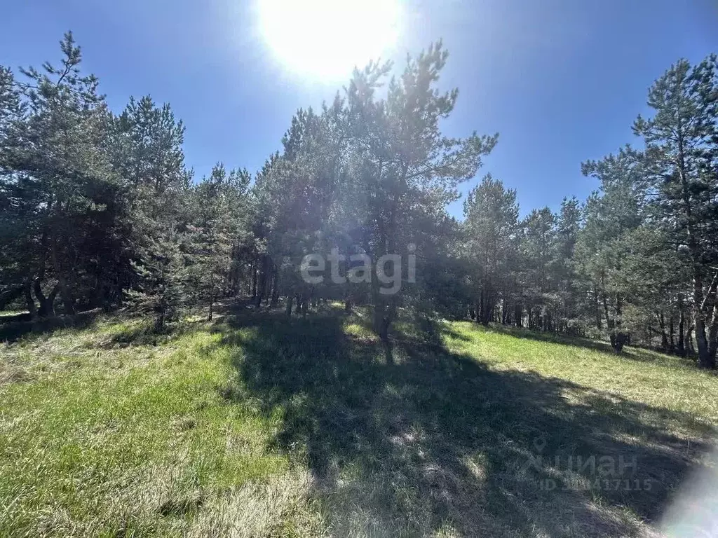 Участок в Воронежская область, Рамонский район, Яменское с/пос, д. ... - Фото 1