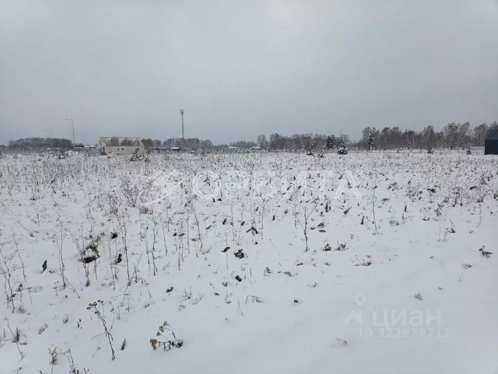 Участок в Тюменская область, Тюмень Центральная пл. (310.0 сот.) - Фото 1
