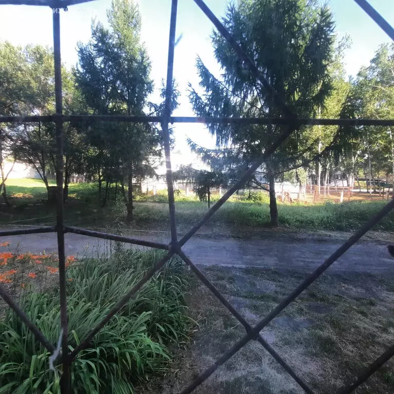 2-комнатная квартира: Лесозаводск, Пушкинская улица, 54 (53.4 м) - Фото 0