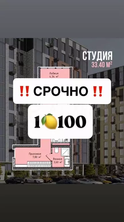 Квартира-студия, 33 м, 2/14 эт. - Фото 0