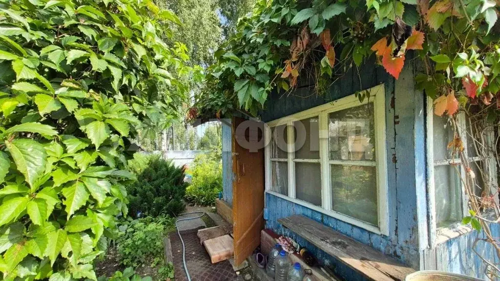 Дом в Новосибирская область, Новосибирск Кедр СНТ, ул. Степная (20 м) - Фото 2