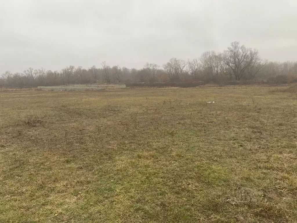 Участок в Адыгея, Теучежский район, Пчегатлукайское с/пос, Пчегатлукай ... - Фото 1