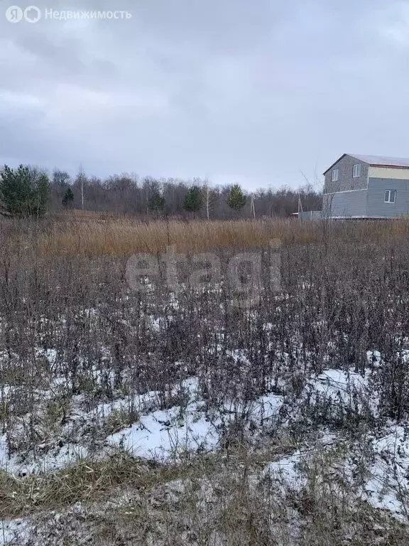 Участок в городской округ Ульяновск, село Карлинское (15 м) - Фото 1