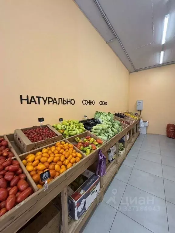 Помещение свободного назначения в Краснодарский край, Краснодар ... - Фото 1