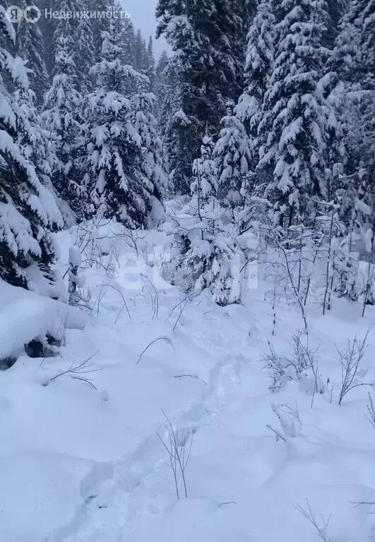 Участок в село Артыбаш, Еловый переулок (13 м) - Фото 1