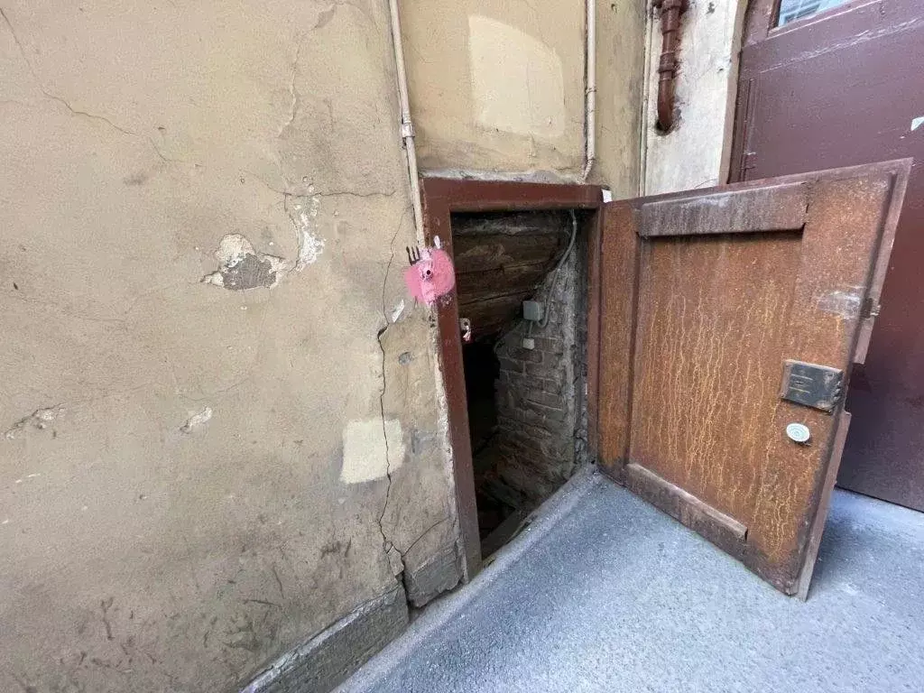 Помещение свободного назначения в Санкт-Петербург Вознесенский просп., ... - Фото 0