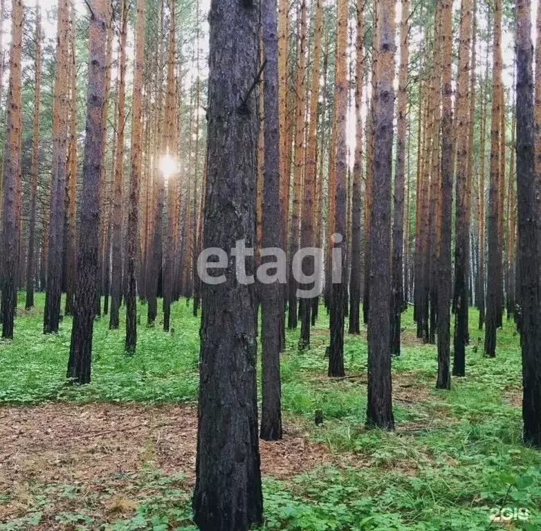 Участок в Красноярский край, Емельяновский район, с. Устюг  (11.6 ... - Фото 0