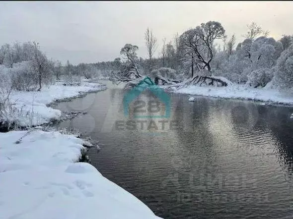 Участок в Ленинградская область, Волосовский район, Рабитицкое с/пос, ... - Фото 1