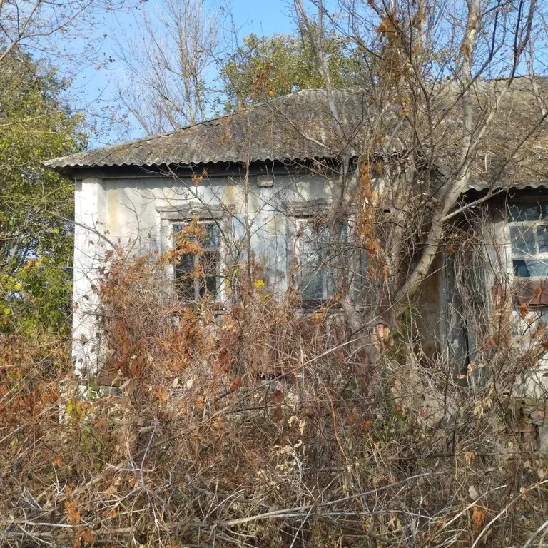 Дом в Воронежская область, Острогожский район, Криниченское с/пос, ... - Фото 1