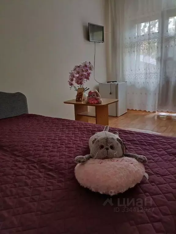 Студия Краснодарский край, Сочи Макопсе мкр, ул. Кольцова, 18 (19.0 м) - Фото 2