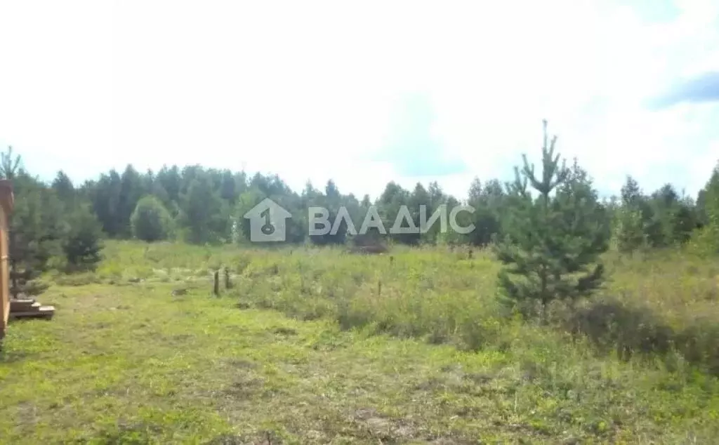 Участок в Нижегородская область, Богородский муниципальный округ, ... - Фото 0