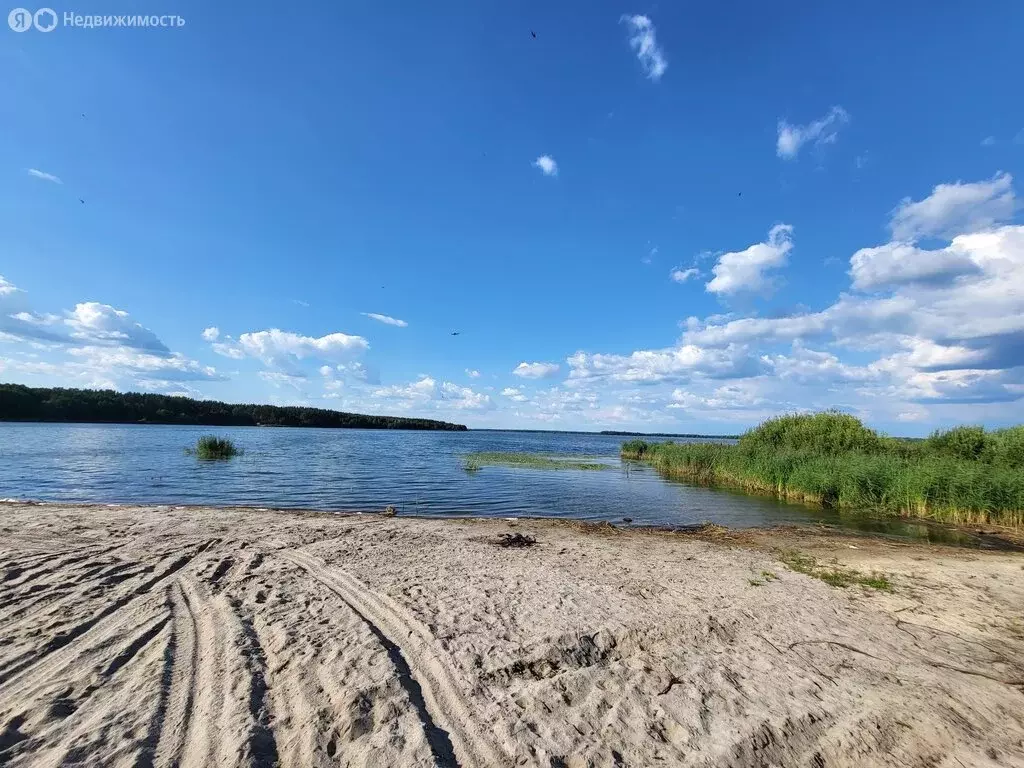 Участок в Московская область, Шатура (15 м) - Фото 1