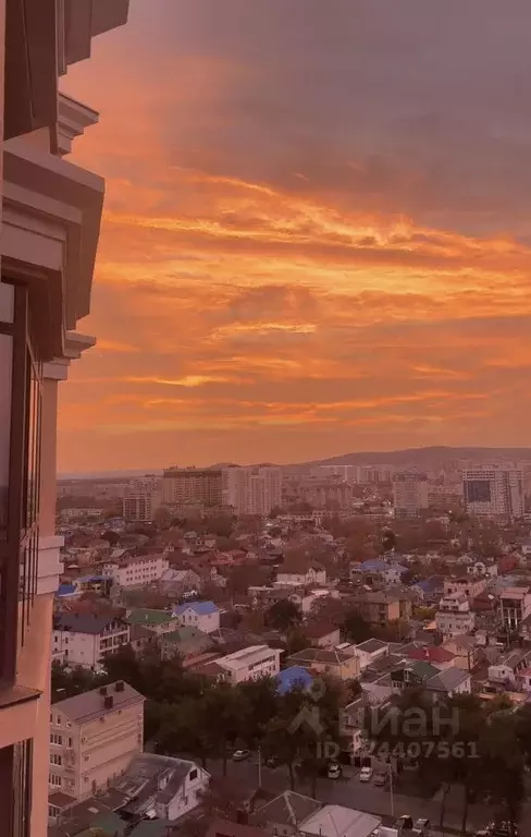 Студия Краснодарский край, Анапа ул. Шевченко, 65 (33.0 м) - Фото 2