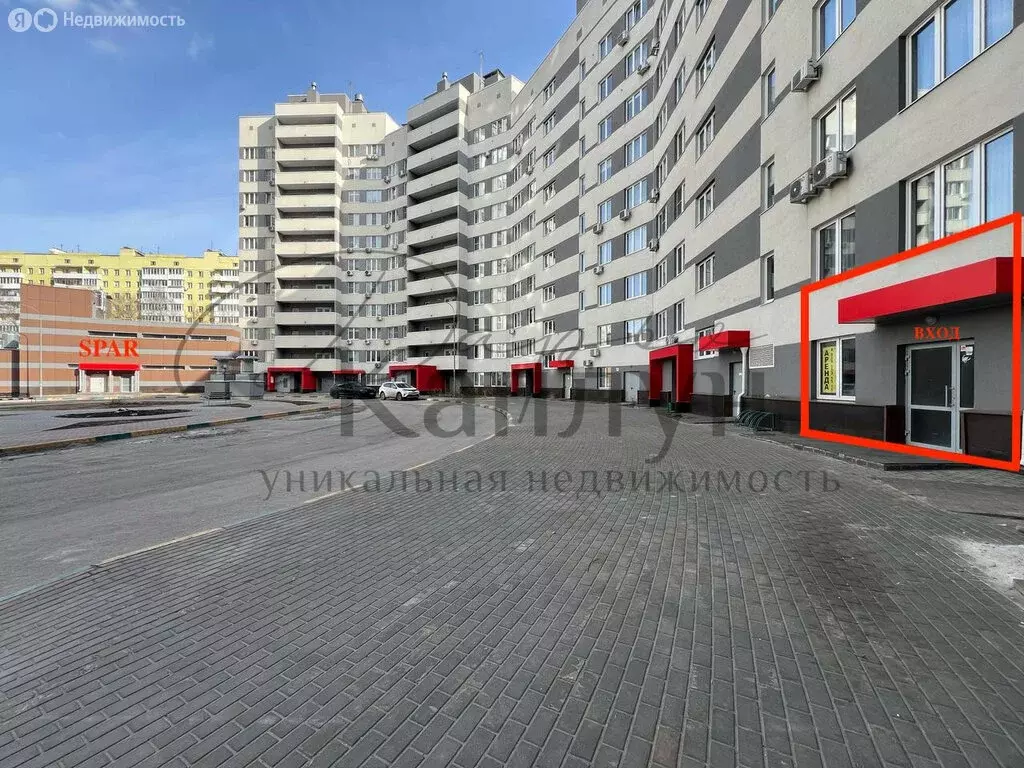 Офис (244.8 м) - Фото 1