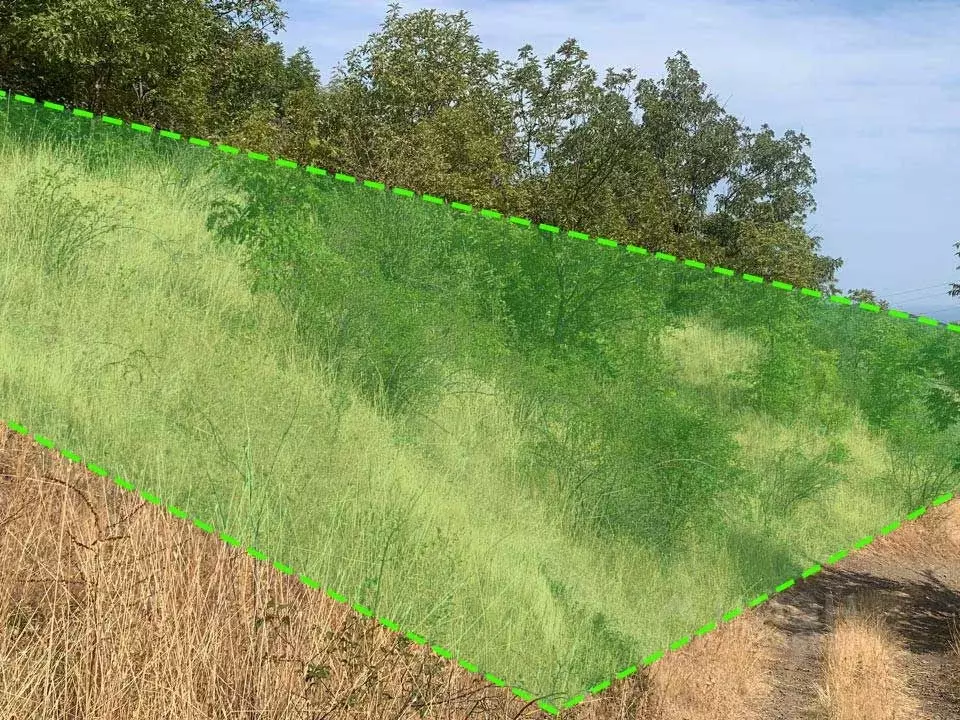 Участок в Крым, Алушта муниципальный округ, с. Генеральское  (11.5 ... - Фото 2