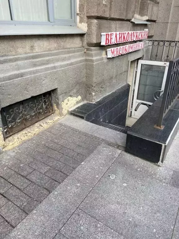 Торговая площадь в Санкт-Петербург Невский просп., 184 (57 м) - Фото 2