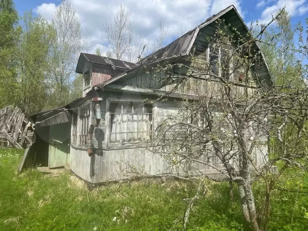 Дача 25 м на участке 14,6 сот. - Фото 1