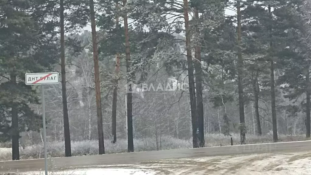 Участок в Бурятия, Тарбагатайский район, Заводское муниципальное ... - Фото 1