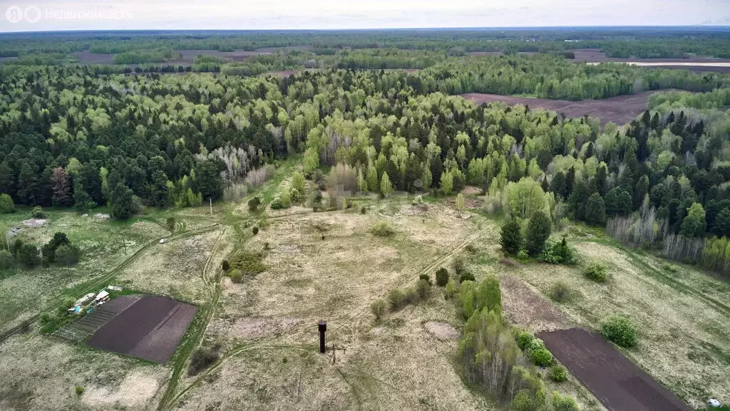 Участок в Томский район, бывший населенный пункт Нижне-Сеченово (30 м) - Фото 1