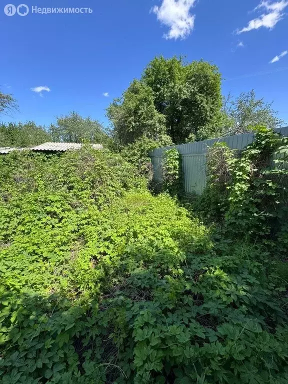 Участок в Воронеж, ДНТ Мичуринец, Садовая улица, 247 (6 м) - Фото 1