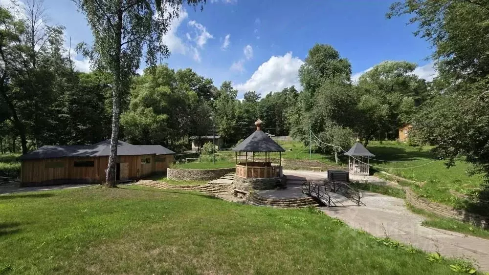 Участок в Московская область, Серпухов городской округ, д. Лужки  ... - Фото 1