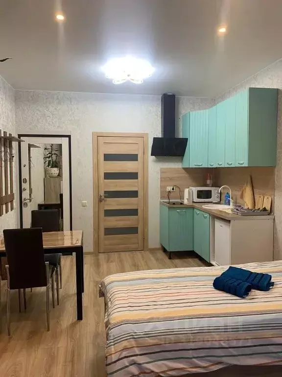 Студия Московская область, Солнечногорск городской округ, Голубое пгт ... - Фото 1